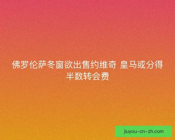 佛罗伦萨冬窗欲出售约维奇 皇马或分得半数转会费